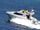 Azimut 36