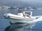 Barracuda 530
