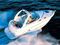 Chaparral 280