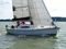 Delphia 26