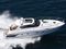 Elan 42 open