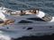 Galeon 530 Fly