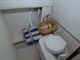 Rhea_28_pic9