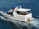 Star 1670