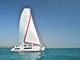 catana47_pic2