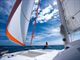 catana50_pic6