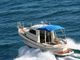 damor700_pic5