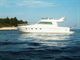 ferretti39fly_pic3