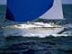 grand_soleil_37-pic2
