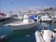 robalo2320_pic2