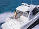 searay455Sundancer-pic3