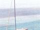 y40_pic2