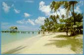Leewards & Windwards