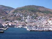 Hydra