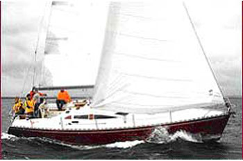 Delphia 40 (3Cab)