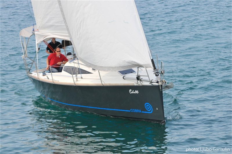 cobra 33 sailboat