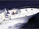 Ambassador 36