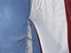custom/37472/Excavatus_Sail_2_pic9