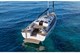 elan_impression_43_elan_impression_43_09_pic7